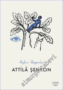 Aykırı Üçgenler -