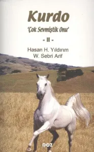Kurdo-2