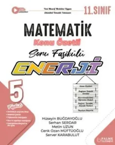 Palme Yayınları 11. Sınıf Matematik Enerji Konu Özetli Soru Fasikülü
