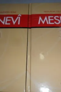 Mesnevi / 2 Cilt Takım