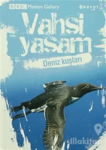 Vahşi Yaşam-Deniz Kuşları (Ciltli)