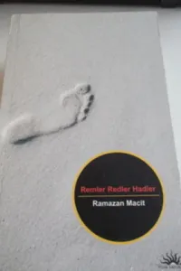 Remler Redler Hadler