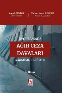Uygulamada Ağır Ceza Davaları