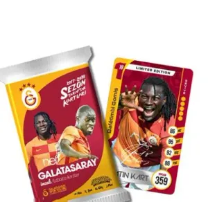 Galatasaray 2017-18 Sezon Taraftar Kartları Tekli - İADESİZ