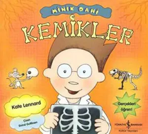 Minik Dahi; Kemikler