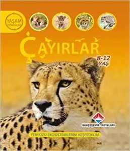 Yaşam Döngüsü Çayırlar 8 12 Yaş