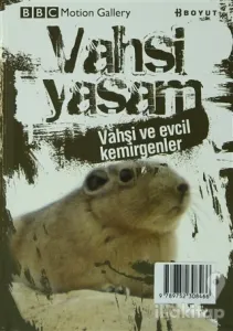 Vahşi Yaşam-Vahşi ve Evcil Kemirgenler