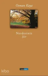Nerdesiniz