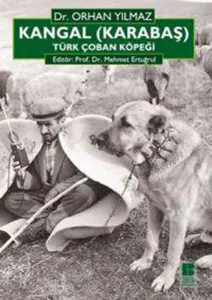 Kangal (karabaş); Türk Çoban Köpeği