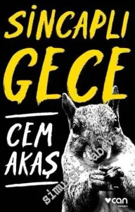 Sincaplı Gece -         2016