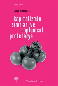 Kapitalizmin Sınırları ve Toplumsal Proletarya
