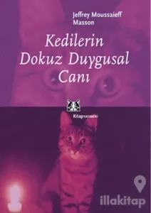 Kedilerin Dokuz Duygusal Canı