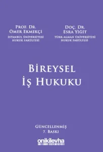 Bireysel İş Hukuku