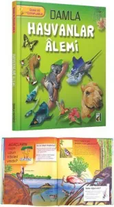 Hayvanlar Alemi (3. 4. Sınıflar İçin)