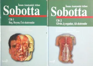 Anatomi 1-2