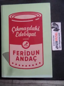 Çıkmazdaki Edebiyat