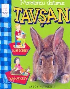 Maratoncu Dostumuz Tavşan Nasıl Bakılır? Nasıl Oynanır?