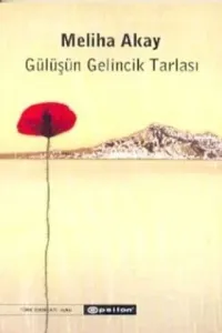 Gülüşün Gelincik Tarlası