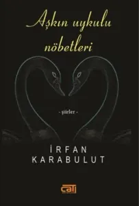 Aşkın Uykulu Nöbetleri