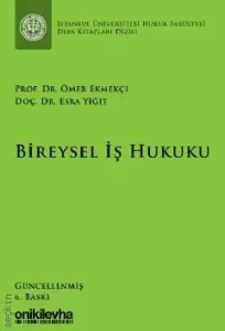 Bireysel İş Hukuku