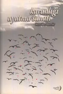 Karanlığı Uyutma Sanatı