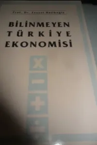 Bilinmeyen Türkiye Ekonomisi