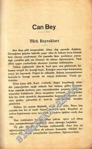 Gök Bayrak -