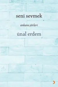 Seni Sevmek Ankara Şiirleri