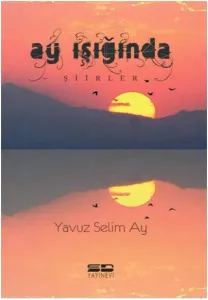 Ay Işığında