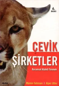 Çevik Şirketler