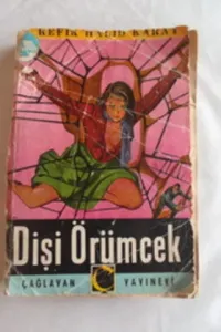 Dişi Örümcek