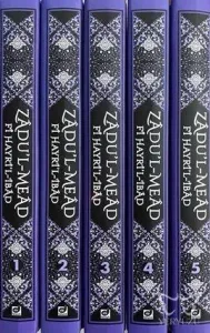 Zadu'l-Mead Fi Hayri'ı-İbad (5 Cilt Takım)