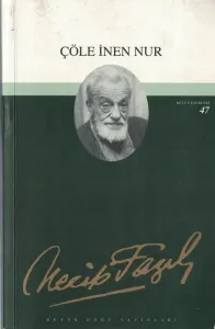 Çöle İnen Nur