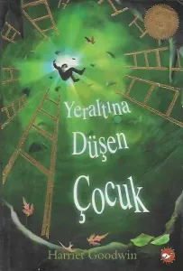 Yeraltına Düşen Çocuk