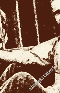 Bizum Cihan - Cihan Alptekin Kitabı -         2017