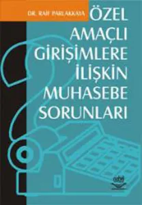 Özel Amaçlı Girişimcilere İlişkin Muhasebe Sorunları
