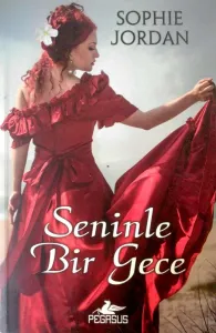 Seninle Bir Gece