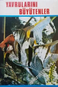 Yavruları Büyütenler: Cichlidae Ailesi -        1981