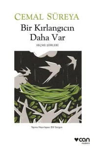 Bir Kırlangıcın Daha Var - Seçme Şiirleri