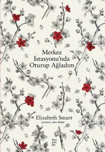 Merkez İstasyonu'nda Oturup Ağladım