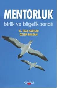 Mentorluk