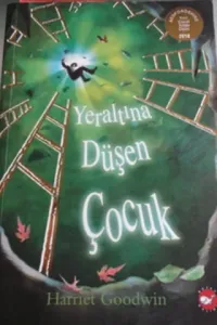 Yeraltına Düşen Çocuk