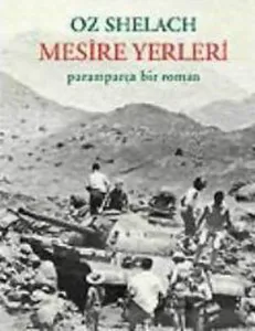 Mesire Yerleri Paramparça Bir Roman