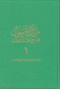 Mirâtü'l-Usul Fî Şerh-ı Mirkâti'l-Vusul 1. Cilt