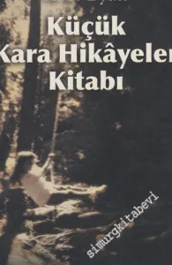 Küçük Kara Hikayeler Kitabı -        2005
