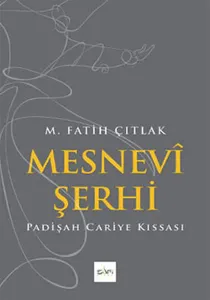 Mesnevi Şerhi