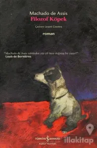 Filozof Köpek