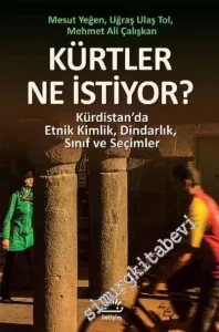 Kürtler Ne İstiyor? Kürdistan'da Etnik Kimlik, Dindarlık, Sınıf ve Seçimler -