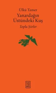Yanardağın Üstündeki Kuş