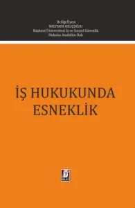 İş Hukukunda Esneklik